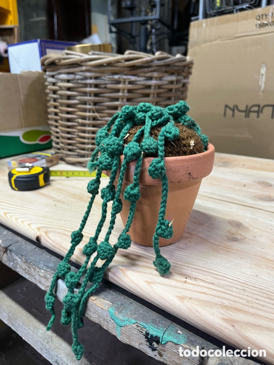 Artesan&iacute;a: Cactus/suculenta de ganchillo - Foto 2