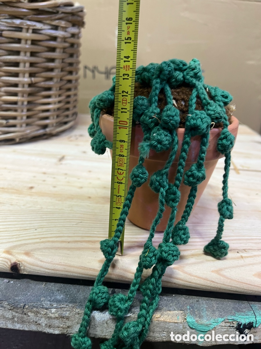 Artesan&iacute;a: Cactus/suculenta de ganchillo - Foto 3