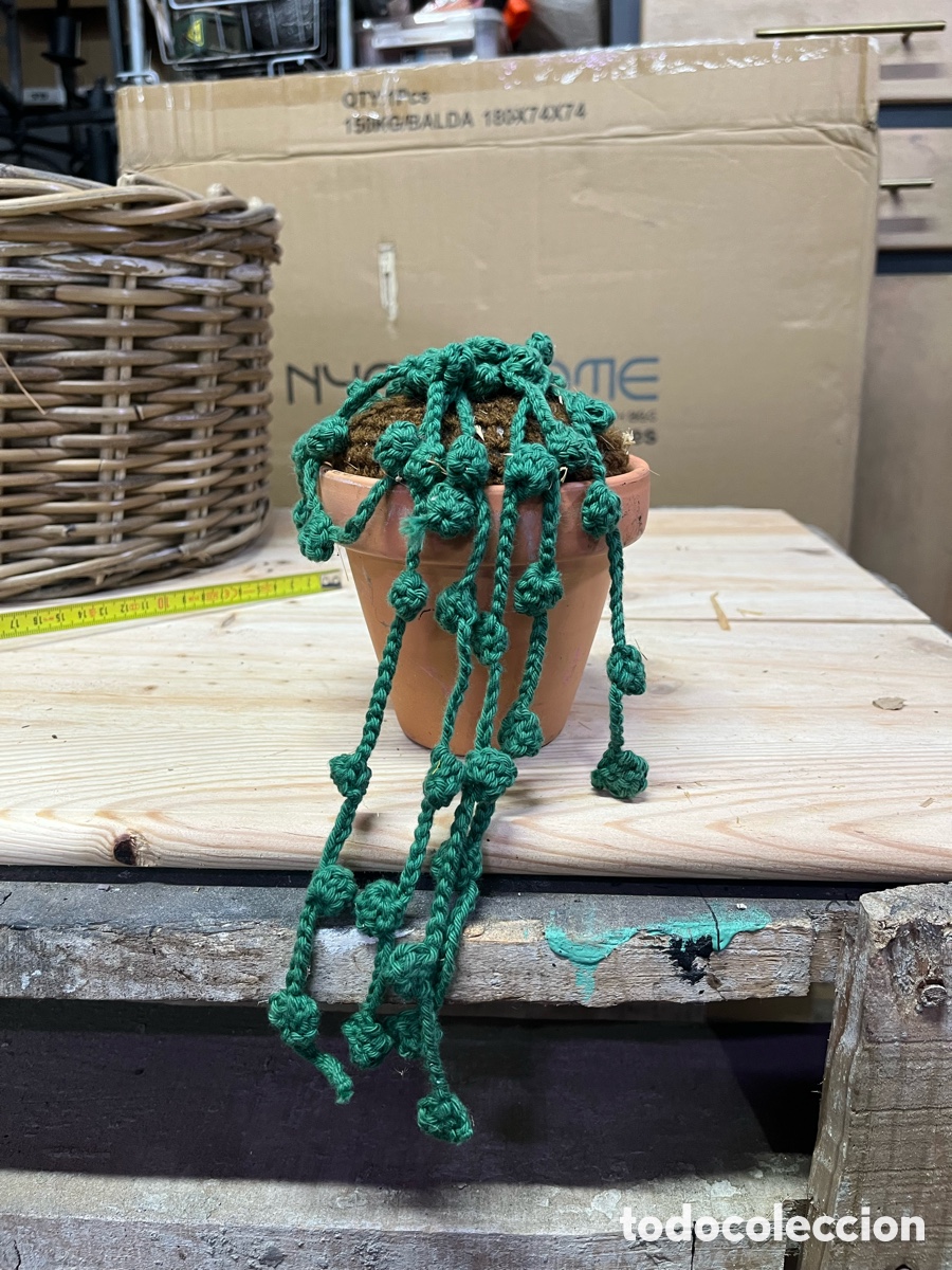 Artesan&iacute;a: Cactus/suculenta de ganchillo - Foto 1