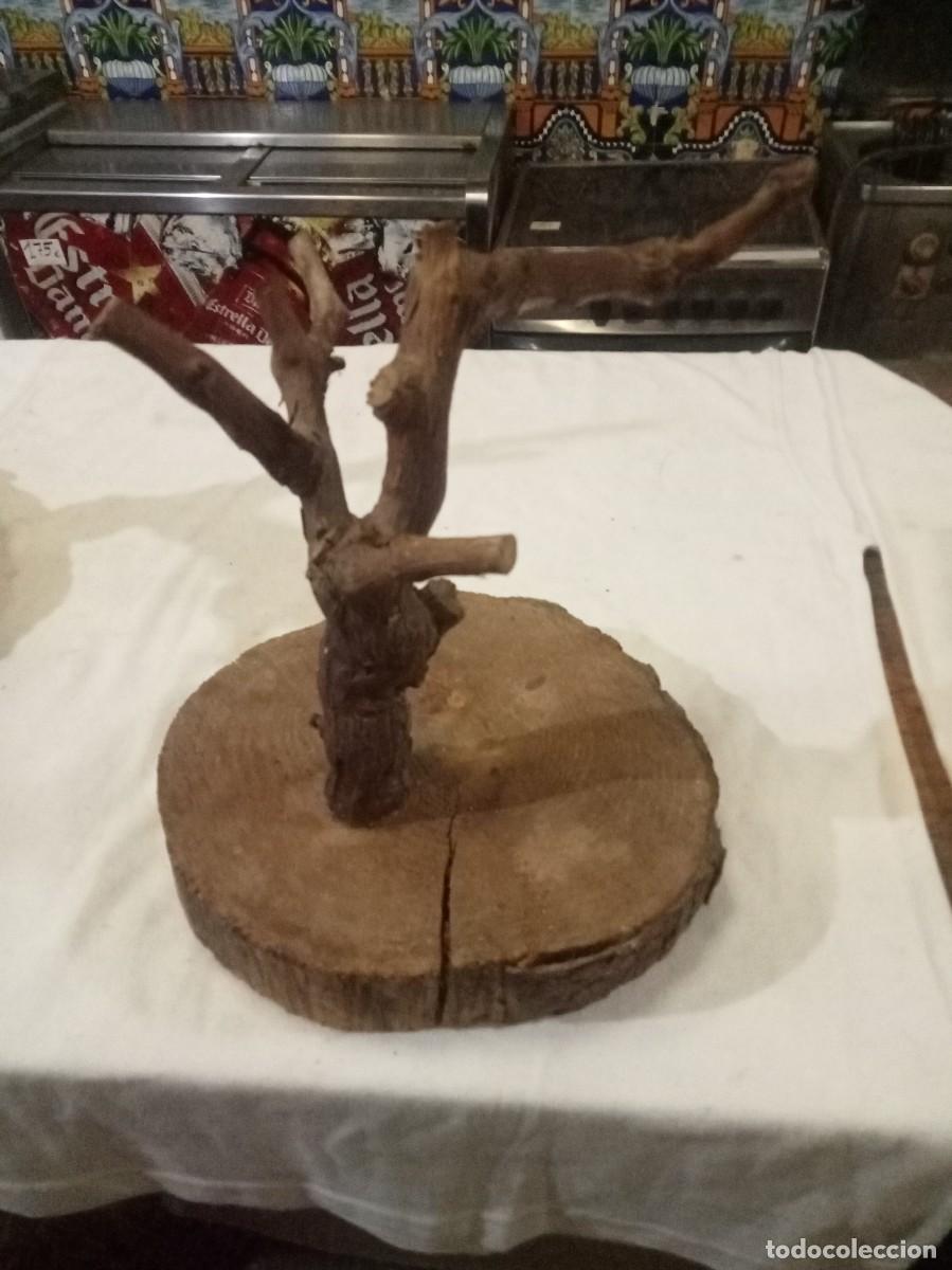 Artesan&iacute;a: &Aacute;rbol de uva antiguo - Foto 1