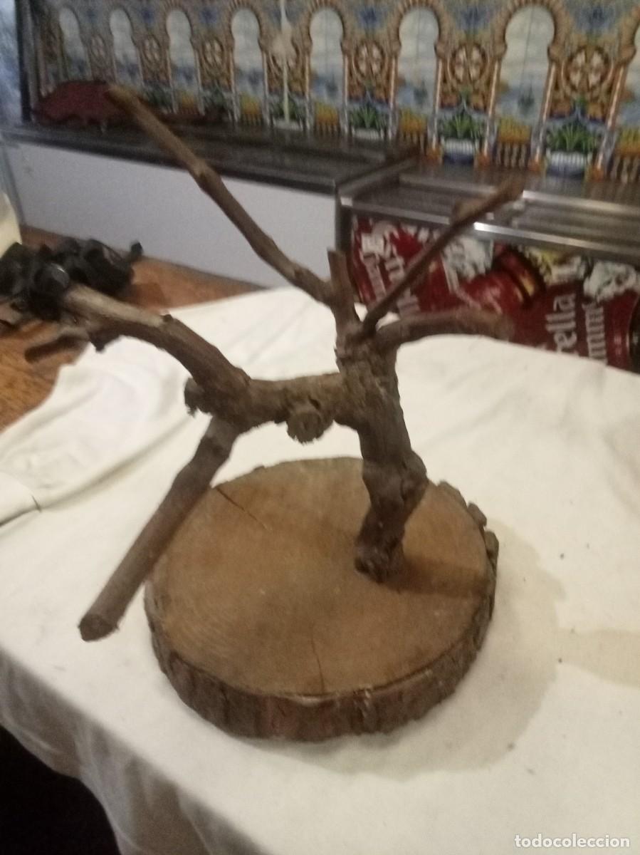 Artesan&iacute;a: &Aacute;rbol de uva antiguo - Foto 1
