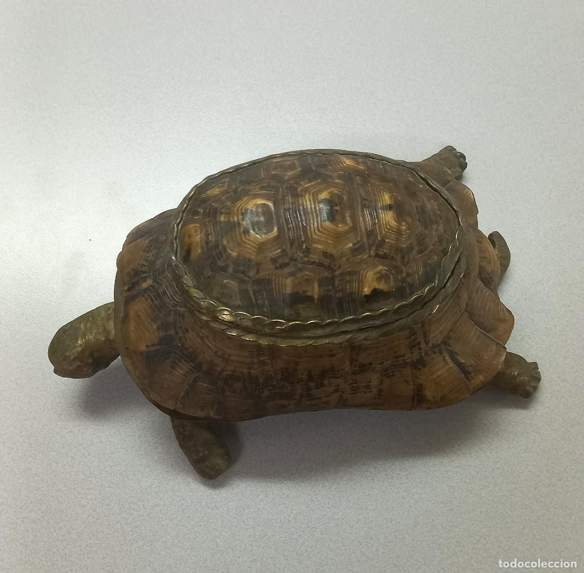 Handicraft: Antigua caja joyero con forma de tortuga. Caparaz&oacute;n natural org&aacute;nico y montura de lat&oacute;n. S. XX