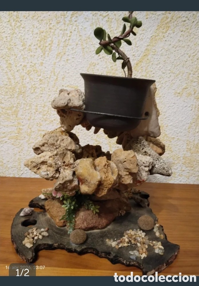 Artesan&iacute;a: Centro de mesa artesanal marinero con remolino de conchas y madera de deriva. Pieza &uacute;nica