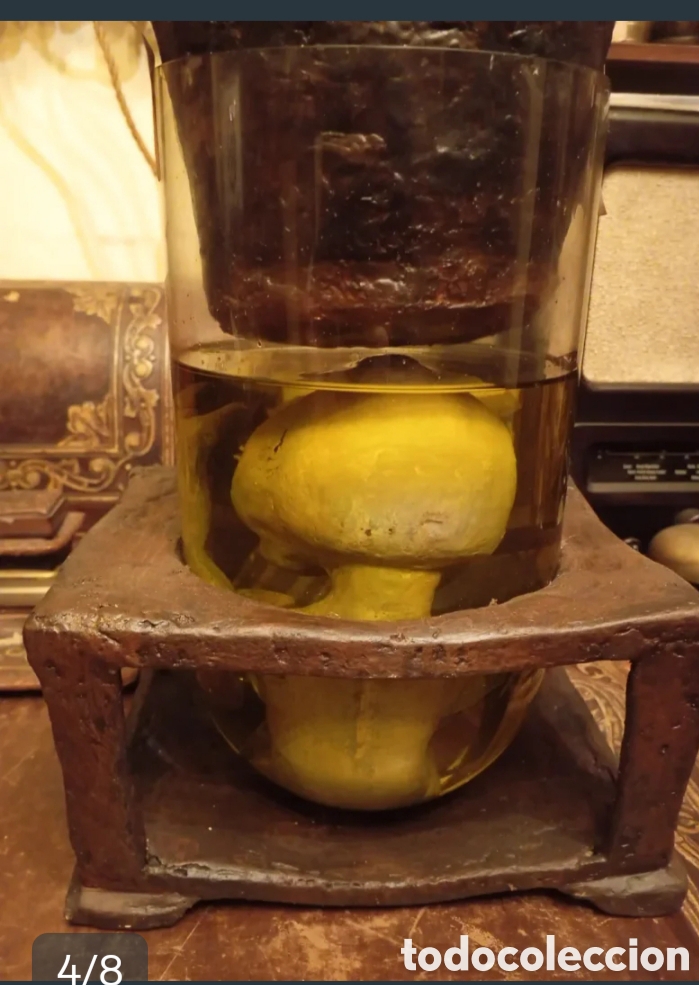 Artesan&iacute;a: EXTRA&Ntilde;O SER!! Cr&iacute;a alien en tarro de formol - Foto 4