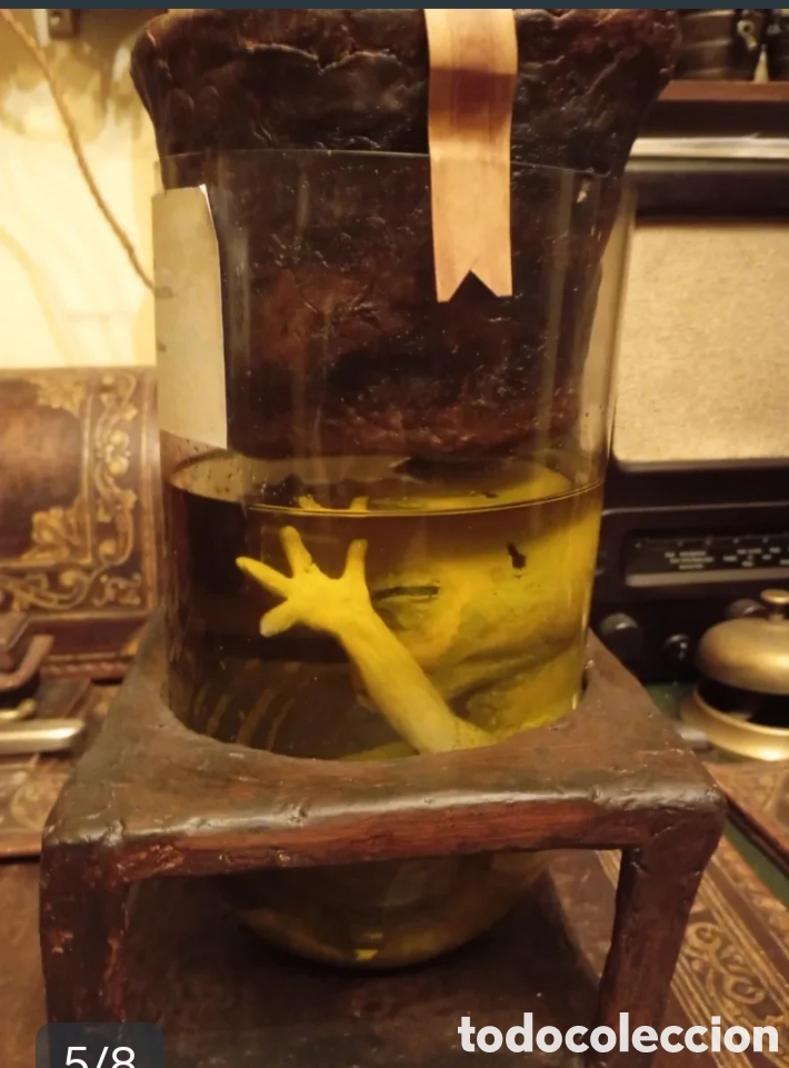 Artesan&iacute;a: EXTRA&Ntilde;O SER!! Cr&iacute;a alien en tarro de formol - Foto 5