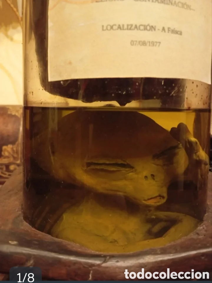 Artesan&iacute;a: EXTRA&Ntilde;O SER!! Cr&iacute;a alien en tarro de formol