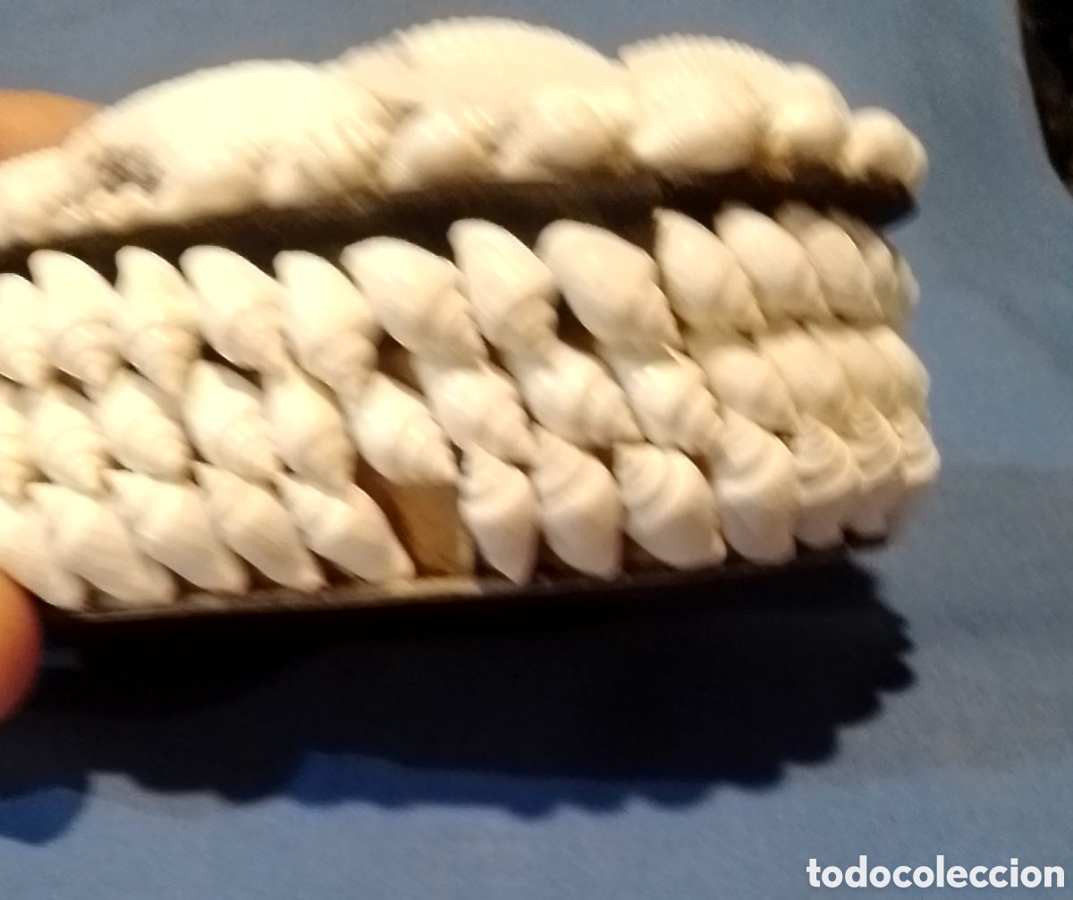 Artesan&iacute;a: Joyero de conchas marinas - Foto 4