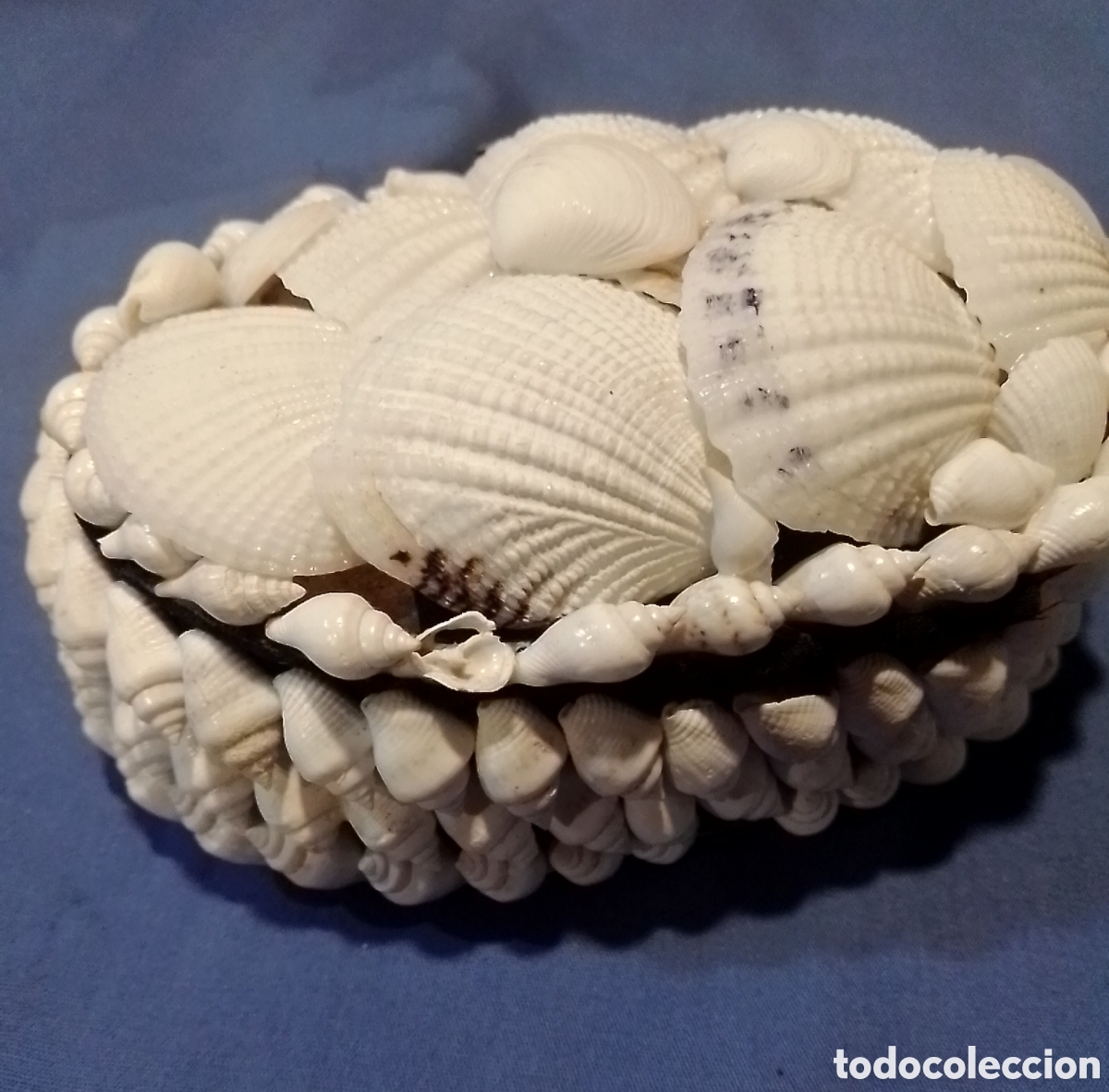 Artesan&iacute;a: Joyero de conchas marinas - Foto 5