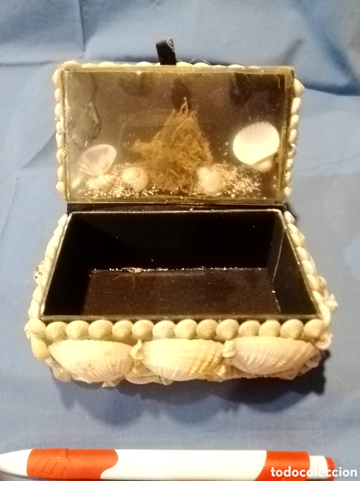 Artesan&iacute;a: Joyero de conchas marinas - Foto 4