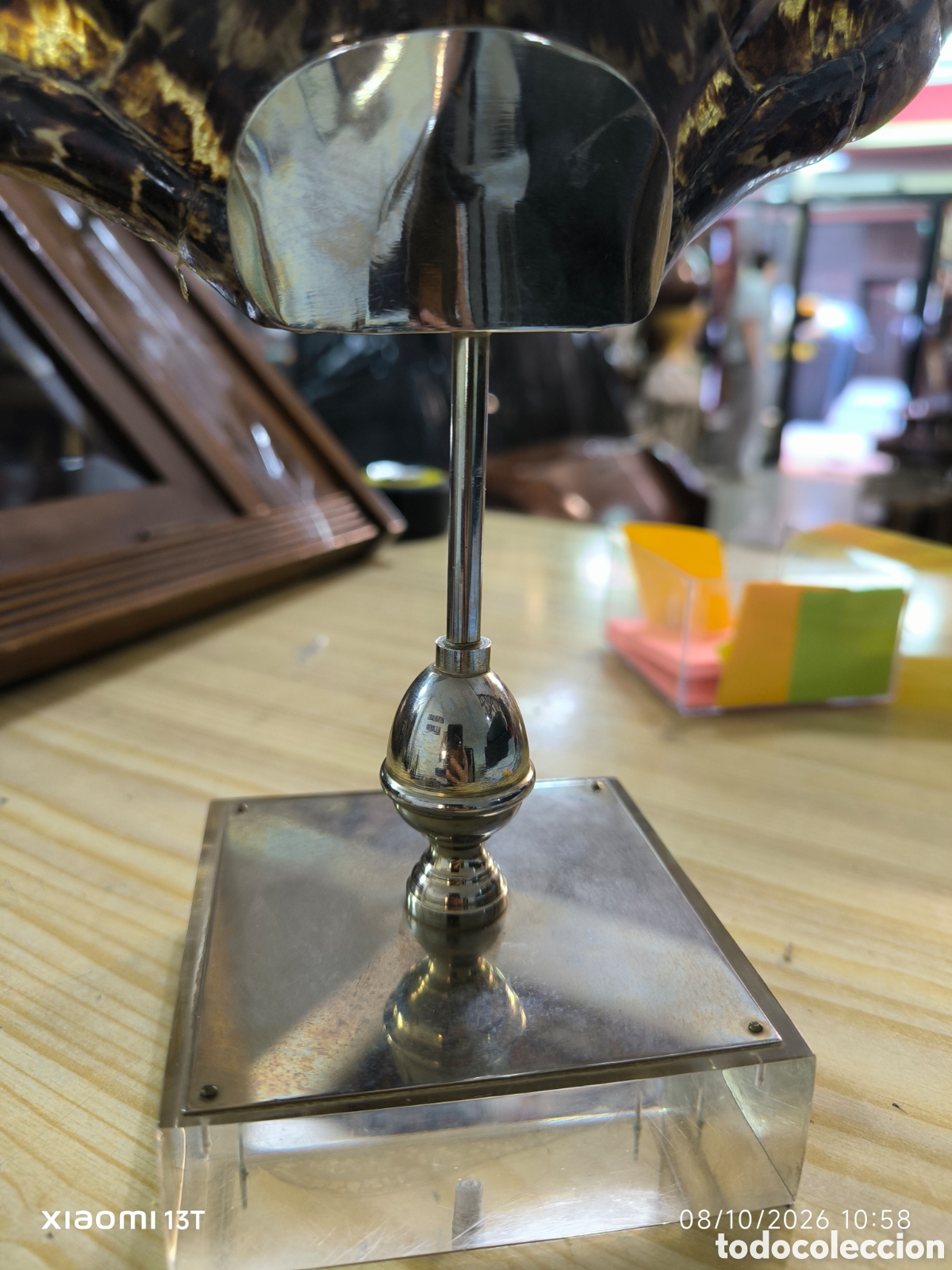 Artesan&iacute;a: Caparazon de tortuga en metraquilato - Foto 5