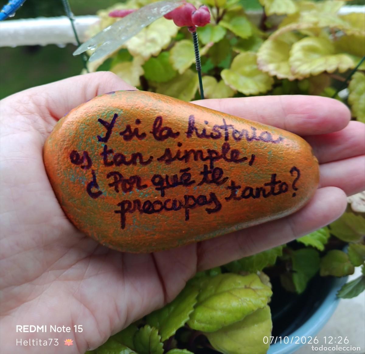 Artesan&iacute;a: Piedra &rdquo;&iquest;Por qu&eacute; te preocupas?&rdquo;, piedra natural pintada a mano