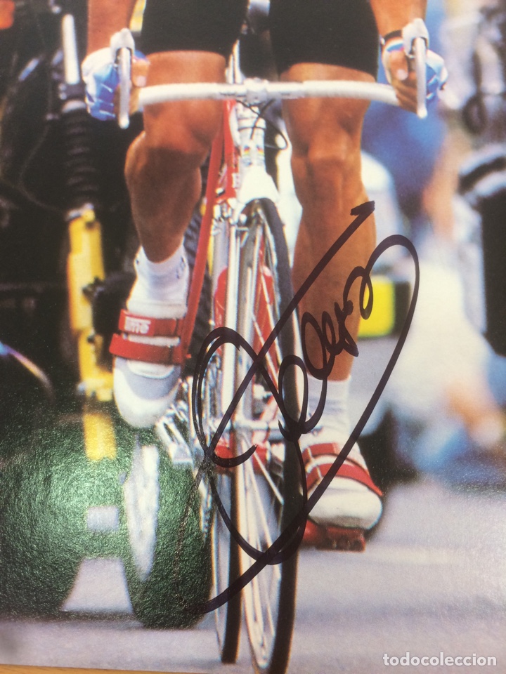 Coleccionismo deportivo: PEDRO DELGADO - AUT&Oacute;GRAFO ORIGINAL- - Foto 2