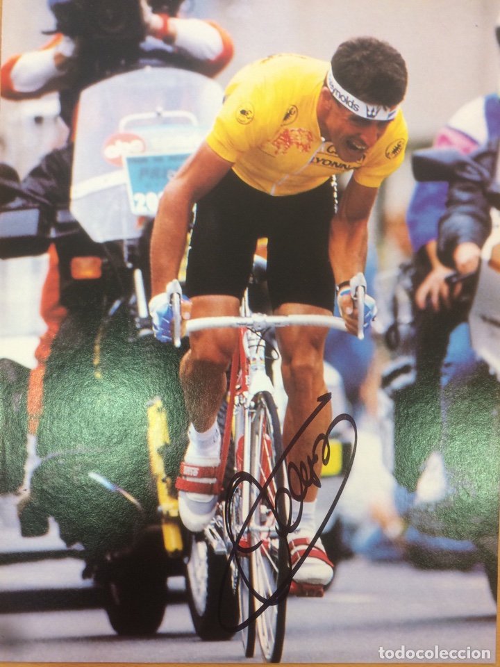 Coleccionismo deportivo: PEDRO DELGADO - AUT&Oacute;GRAFO ORIGINAL- - Foto 1