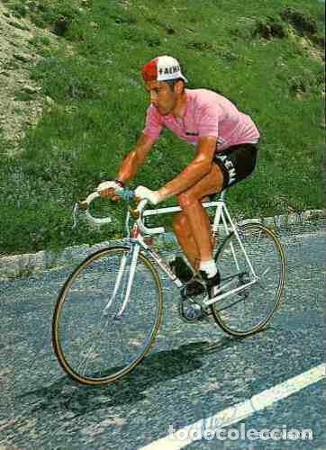 Collectionnisme sportif: EDDY MERCKX Signed Autograph Sign&eacute; cyclisme Maillot Rose Jersey pink tour france autografa