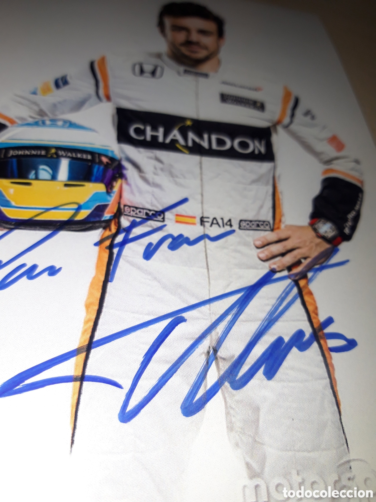 Coleccionismo deportivo: Fernando Alonso aut&oacute;grafo - Foto 2