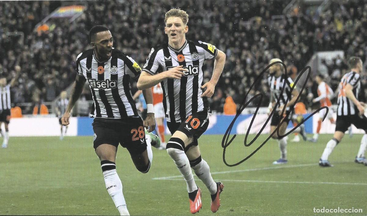 Coleccionismo deportivo: Anthony Gordon. Aut&oacute;grafo, firma original, autograph. Newcastle. 16x28 cm. F&uacute;tbol Fotograf&iacute;a. COA.