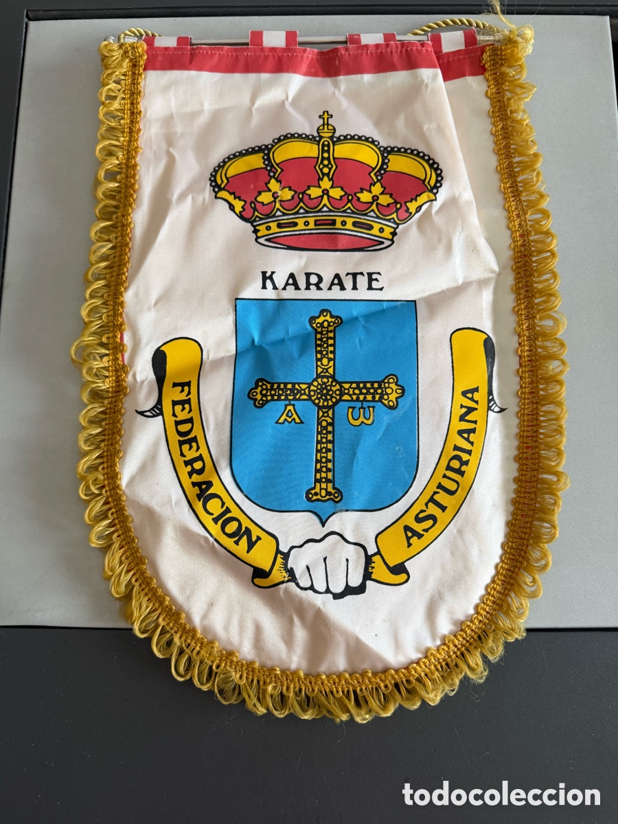 Coleccionismo deportivo: Bander&iacute;n. Federaci&oacute;n Asturiana. KARATE