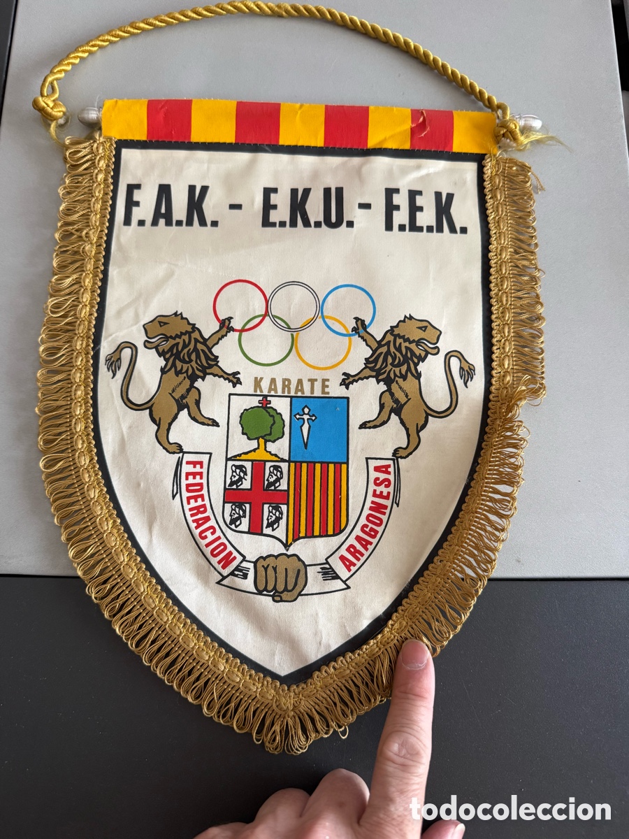 Sports collectibles: Bander&iacute;n Federaci&oacute;n Aragonesa. KARATE