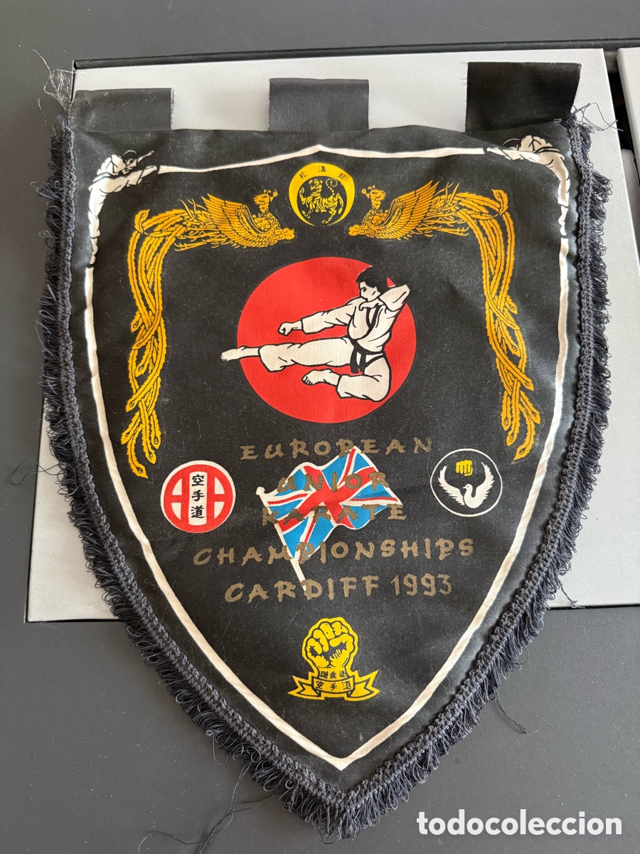 Sports collectibles: Bander&iacute;n. CAMPEONATO EUROPEO. KARATE 1993