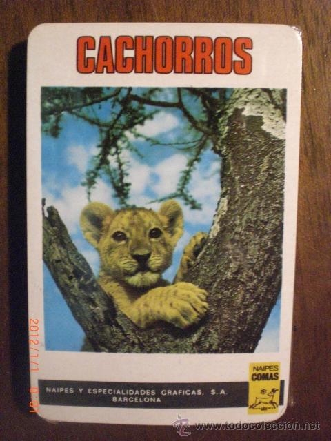 Barajas de cartas: CACHORROS - NAIPES COMAS - Foto 1