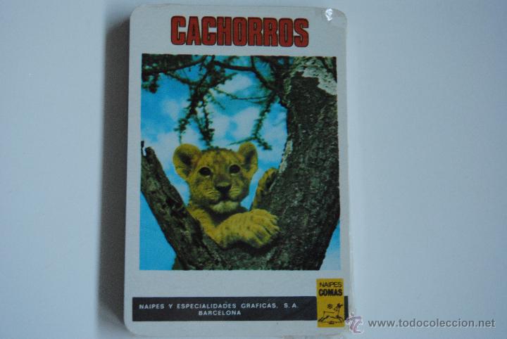 Barajas de cartas: NAIPES CACHORROS DE COMAS PRECINTADAS - Foto 1