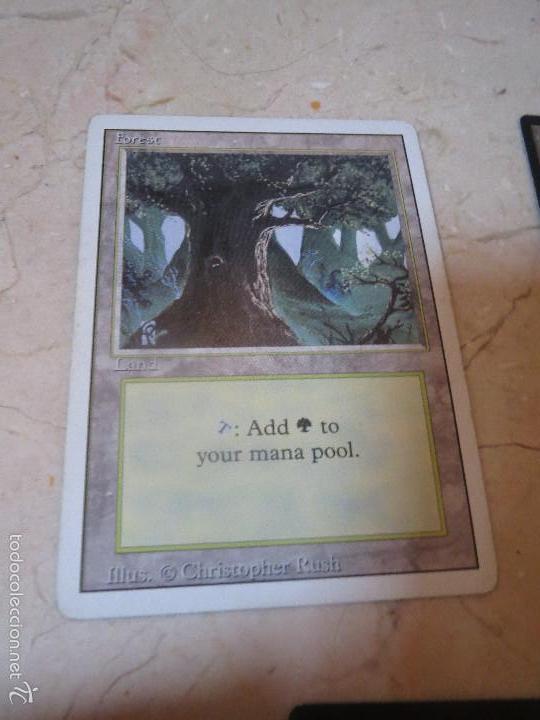 Barajas de cartas: BARAJA MAGIC,FOREST,LAND - Foto 1