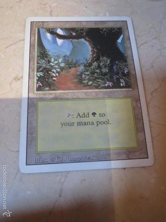 Barajas de cartas: CARTA MAGIC,FOREST,LAND. - Foto 1