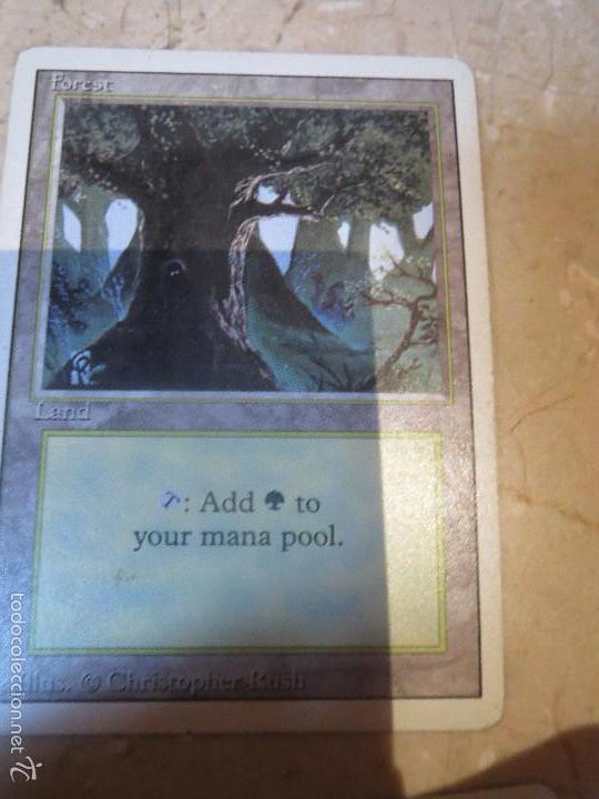 Barajas de cartas: CARTA MAGIC,FOREST,LAND. - Foto 1