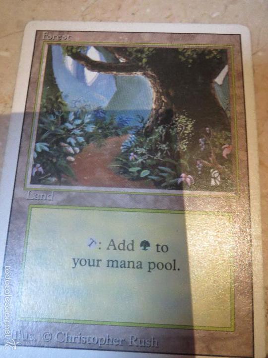 Barajas de cartas: CARTA MAGIC,FOREST,LAND. - Foto 1