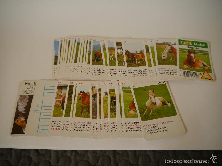 Barajas de cartas: BARAJA PIATNIK CABALLOS PFERDE - Foto 2