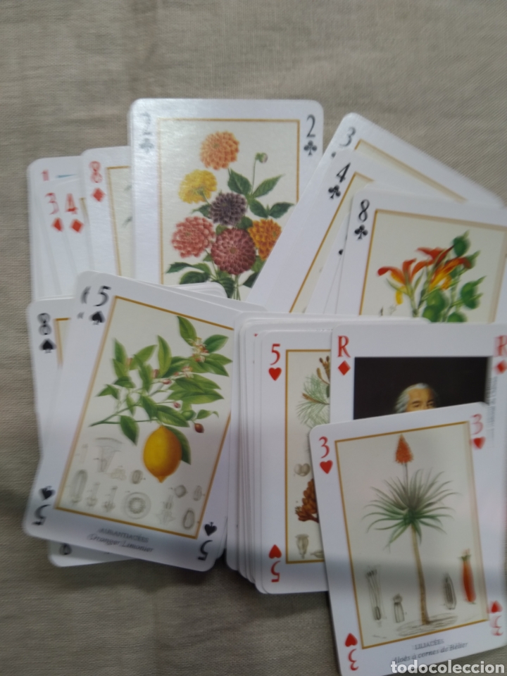 Barajas de cartas: Baraja Cartas coleccion - Foto 1