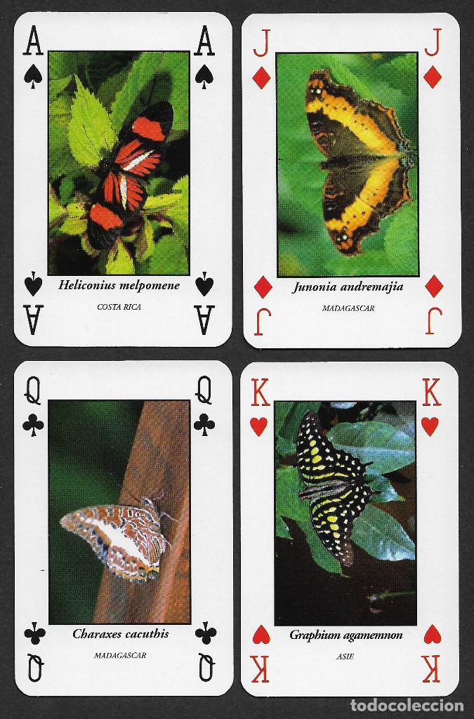 Barajas de cartas: Baraja francesa de mariposas - Foto 1