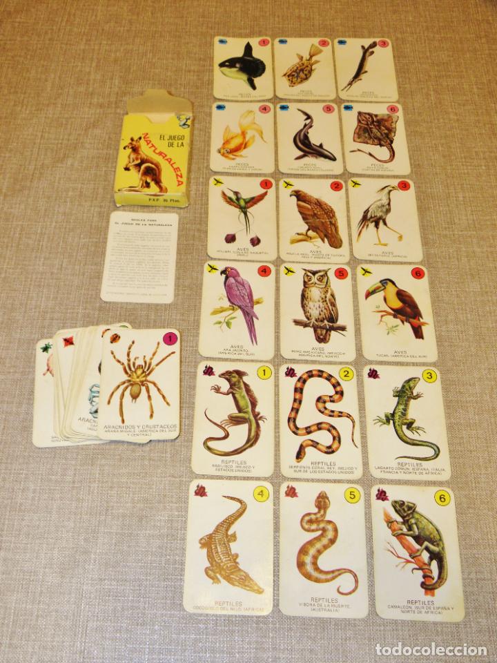 Barajas de cartas: Baraja cartas el juego de la naturaleza ediciones recreativas. Año 1970 COMPLETA - Foto 5 - 217556401