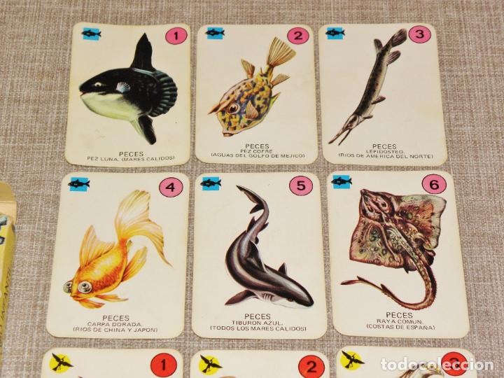 Barajas de cartas: Baraja cartas el juego de la naturaleza ediciones recreativas. Año 1970 COMPLETA - Foto 6 - 217556401