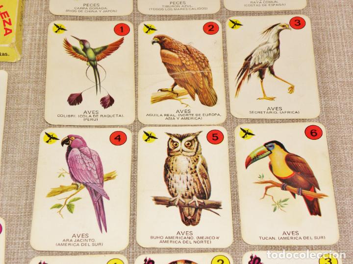 Barajas de cartas: Baraja cartas el juego de la naturaleza ediciones recreativas. Año 1970 COMPLETA - Foto 7 - 217556401