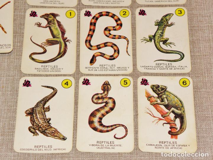 Barajas de cartas: Baraja cartas el juego de la naturaleza ediciones recreativas. Año 1970 COMPLETA - Foto 8 - 217556401