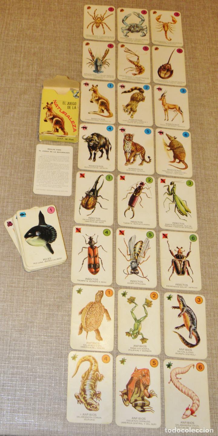 Barajas de cartas: Baraja cartas el juego de la naturaleza ediciones recreativas. Año 1970 COMPLETA - Foto 9 - 217556401