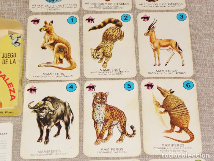 Barajas de cartas: Baraja cartas el juego de la naturaleza ediciones recreativas. Año 1970 COMPLETA - Foto 11 - 217556401
