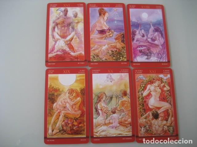Barajas de cartas: TAROT SEXUAL MAGIC. 78 CARTAS - Foto 6