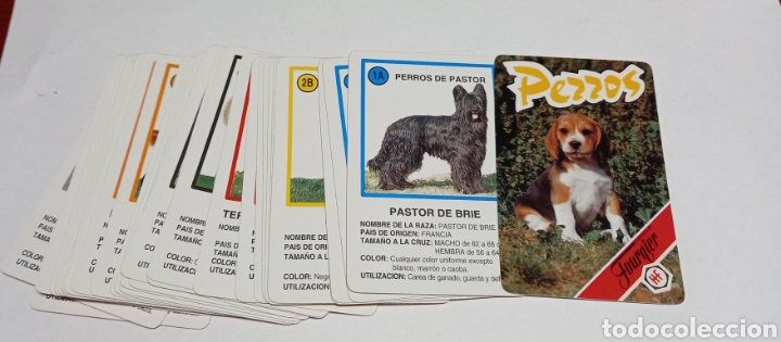 Barajas de cartas: Baraja de perros - Foto 2