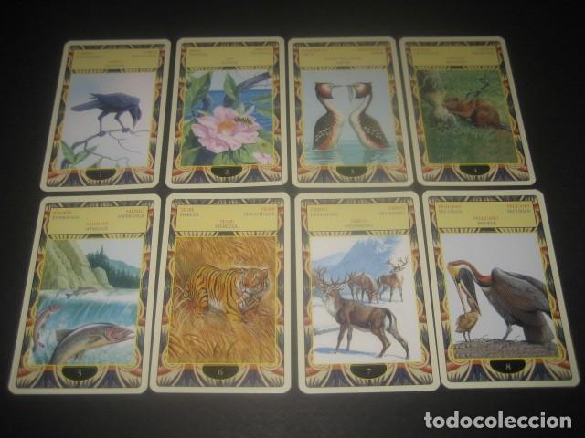 Barajas de cartas: TAROT ORACULO DE LOS ANIMALES - Foto 4