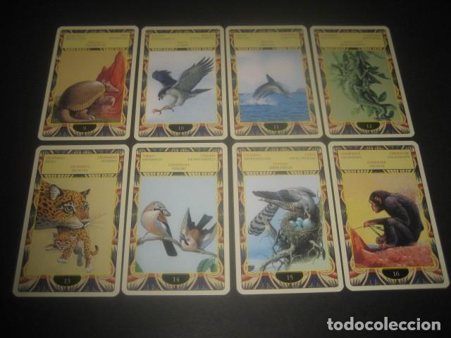 Barajas de cartas: TAROT ORACULO DE LOS ANIMALES - Foto 5