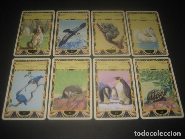 Barajas de cartas: TAROT ORACULO DE LOS ANIMALES - Foto 6