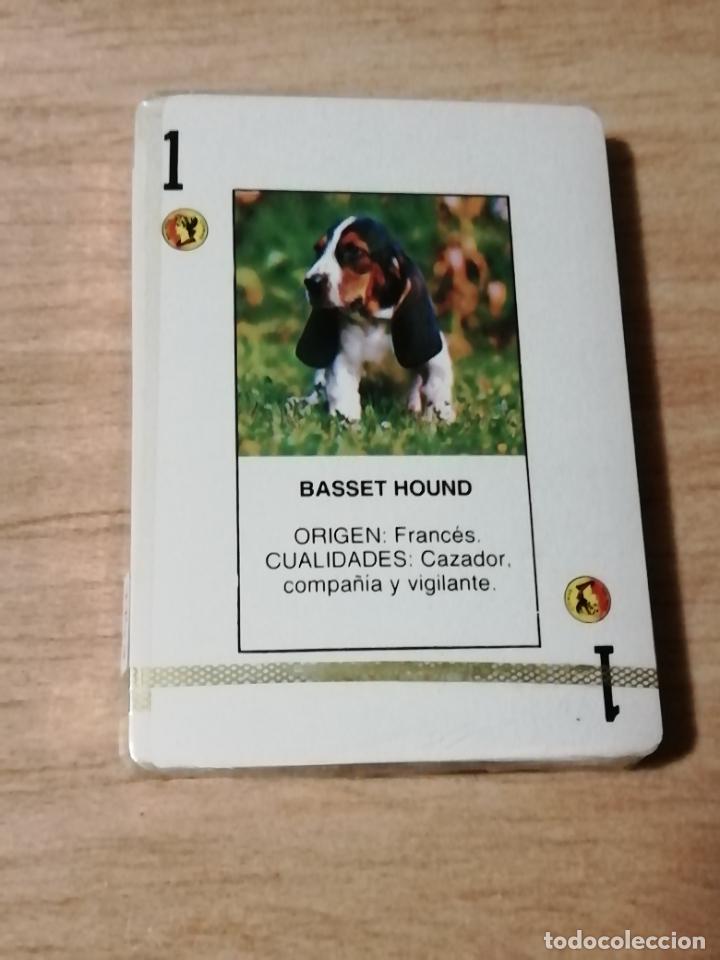 Barajas de cartas: BARAJA PERRY NAT - Foto 2