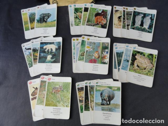 Barajas de cartas: CARTAS NAIPES - EL CUARTETO DEL ZOO - EDUCA. - Foto 3