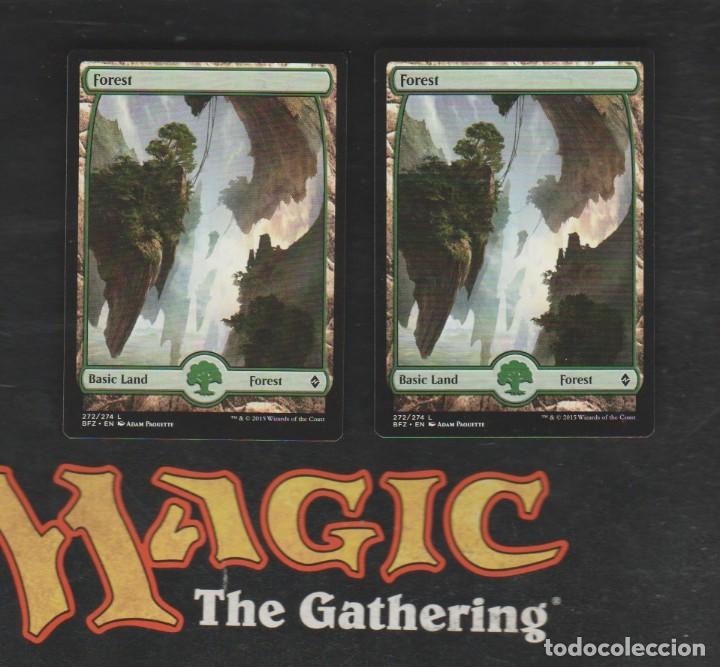 Barajas de cartas: MAGIC THE GATHERING : PAREJA BOSQUE ( TIERRA ) - Foto 1