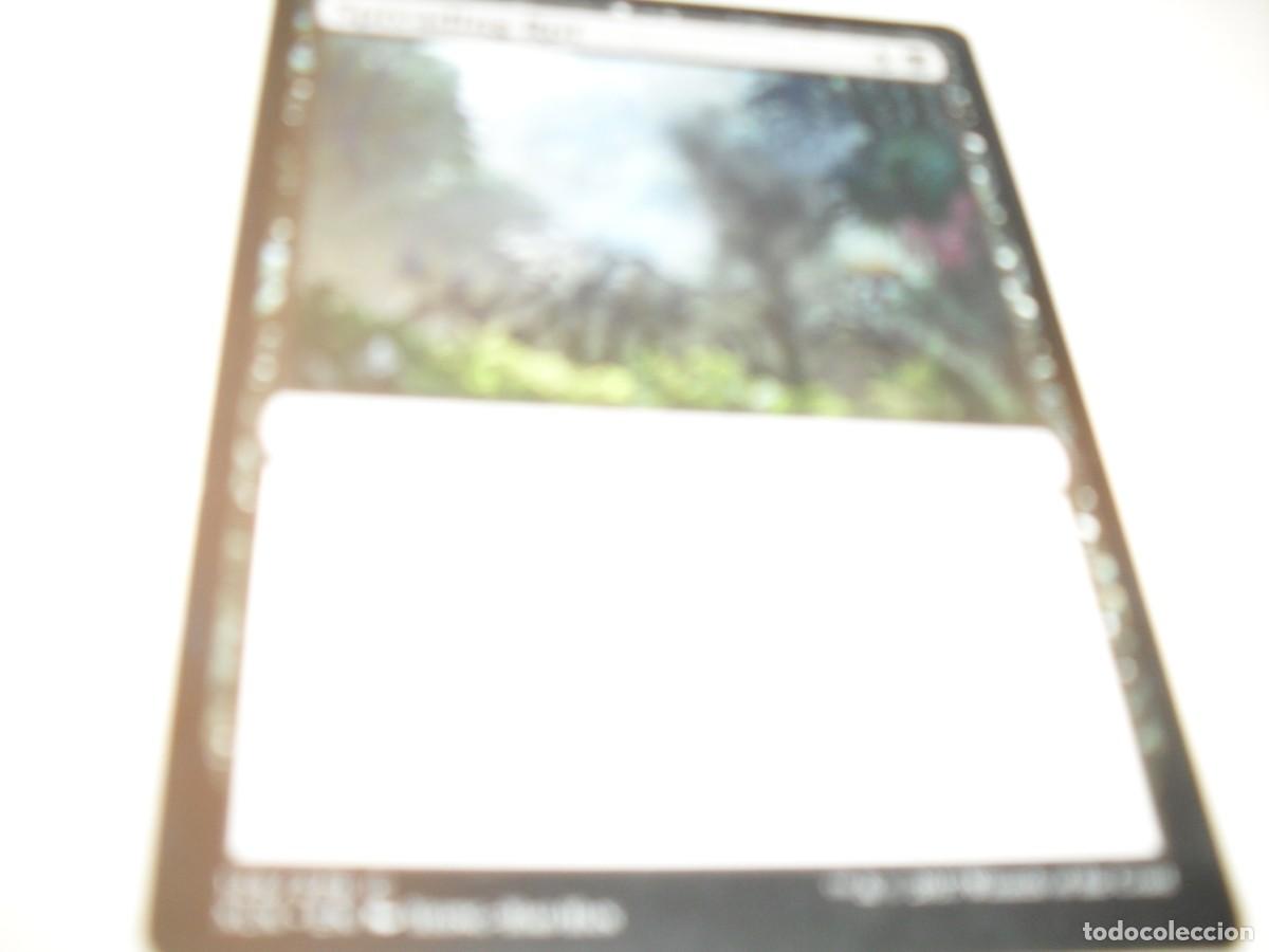 Barajas de cartas: CARTAS MAGIC DECKMASTER(EN INGLES):SPREADING ROT 4.A&Ntilde;O 2006,BUEN ESTADO. - Foto 1