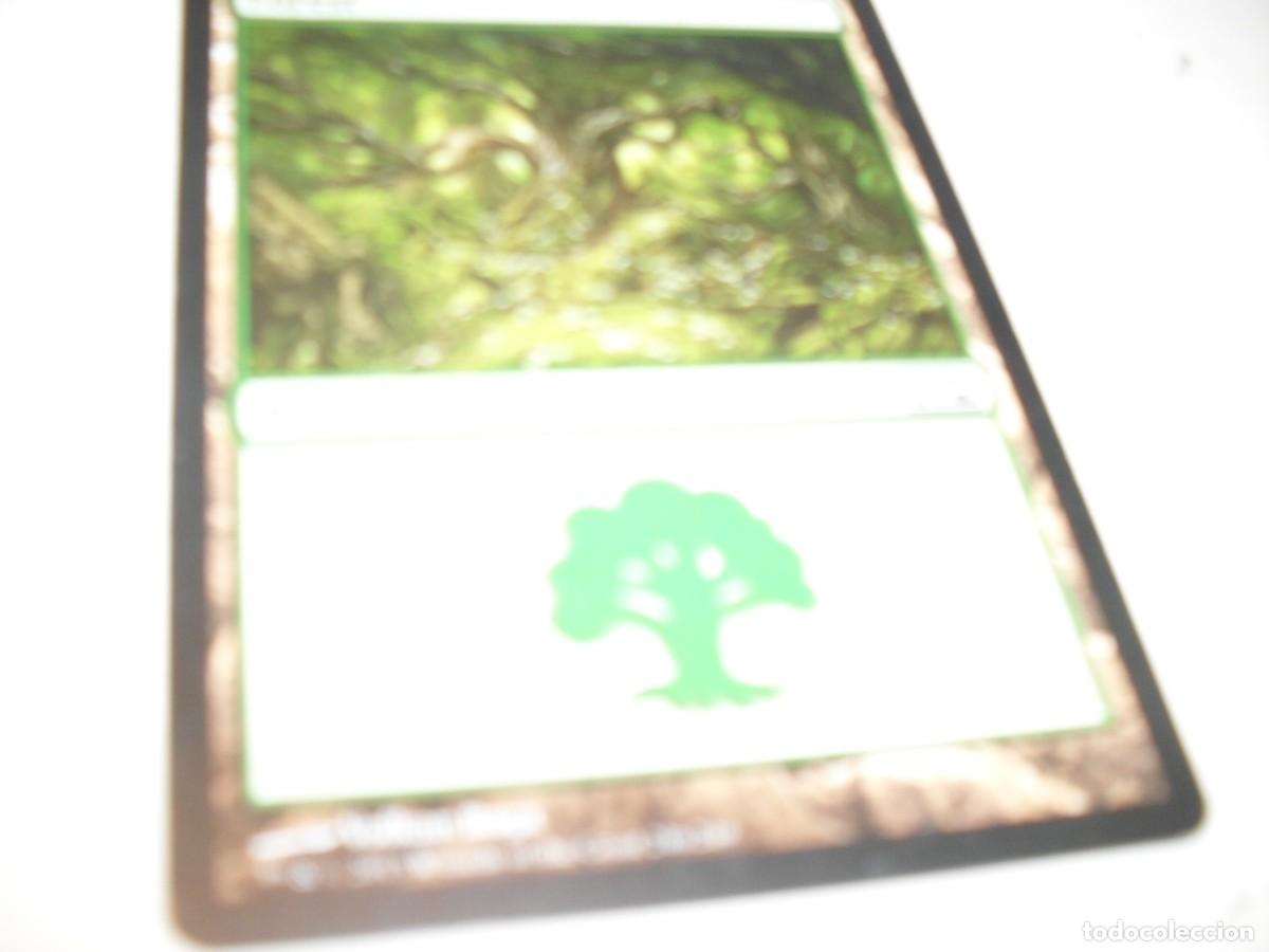 Barajas de cartas: CARTAS MAGIC DECKMASTER(EN INGLES).FOREST.A&Ntilde;O 2006,BUEN ESTADO. - Foto 1