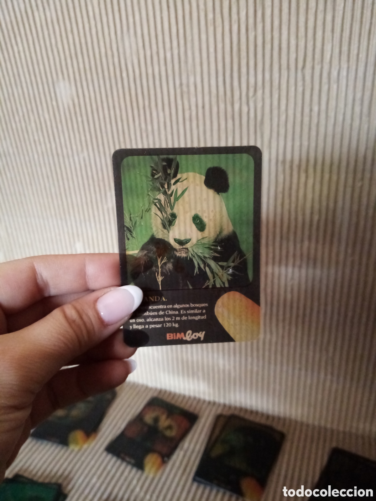 Barajas de cartas: Lote cartas BIMloy - Foto 5