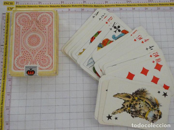 Cartas de jogar, Litografia Maia